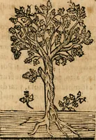 An illustration from Declaracion magistral sobre las emblemas de Andres Alciato con todas las historias, antiguedades, moralidad y doctrina tocante a las buenas costumbres (1615)