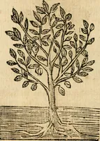 Picture 260 of 270 from Declaracion magistral sobre las emblemas de Andres Alciato con todas las historias, antiguedades, moralidad y doctrina tocante a las buenas costumbres (1615), leaf 945
