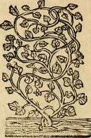 An illustration from Declaracion magistral sobre las emblemas de Andres Alciato con todas las historias, antiguedades, moralidad y doctrina tocante a las buenas costumbres (1615)