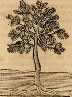 An illustration from Declaracion magistral sobre las emblemas de Andres Alciato con todas las historias, antiguedades, moralidad y doctrina tocante a las buenas costumbres (1615)