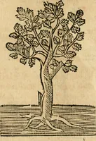 Picture 267 of 270 from Declaracion magistral sobre las emblemas de Andres Alciato con todas las historias, antiguedades, moralidad y doctrina tocante a las buenas costumbres (1615), leaf 956