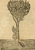 Picture 268 of 270 from Declaracion magistral sobre las emblemas de Andres Alciato con todas las historias, antiguedades, moralidad y doctrina tocante a las buenas costumbres (1615), leaf 957