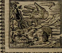 An illustration from Declaracion magistral sobre las Emblemas de Andres Alciato : con todas las historias, antiguedades, moralidad, y doctrina, tocante a las buenas costumbres : dedicadas a la muy noble insigne, leal, y coronada ciudad de Valencia (1670)