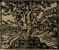 An illustration from Declaracion magistral sobre las Emblemas de Andres Alciato : con todas las historias, antiguedades, moralidad, y doctrina, tocante a las buenas costumbres : dedicadas a la muy noble insigne, leal, y coronada ciudad de Valencia (1670)
