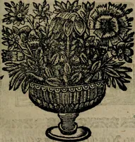 An illustration from Declaracion magistral sobre las Emblemas de Andres Alciato : con todas las historias, antiguedades, moralidad, y doctrina, tocante a las buenas costumbres : dedicadas a la muy noble insigne, leal, y coronada ciudad de Valencia (1670)