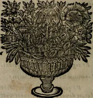 Picture 50 of 254 from Declaracion magistral sobre las Emblemas de Andres Alciato : con todas las historias, antiguedades, moralidad, y doctrina, tocante a las buenas costumbres : dedicadas a la muy noble insigne, leal, y coronada ciudad de Valencia (1670), leaf 181