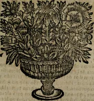 Picture 69 of 254 from Declaracion magistral sobre las Emblemas de Andres Alciato : con todas las historias, antiguedades, moralidad, y doctrina, tocante a las buenas costumbres : dedicadas a la muy noble insigne, leal, y coronada ciudad de Valencia (1670), leaf 240