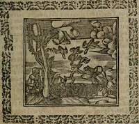 An illustration from Declaracion magistral sobre las Emblemas de Andres Alciato : con todas las historias, antiguedades, moralidad, y doctrina, tocante a las buenas costumbres : dedicadas a la muy noble insigne, leal, y coronada ciudad de Valencia (1670)
