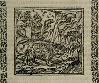 An illustration from Declaracion magistral sobre las Emblemas de Andres Alciato : con todas las historias, antiguedades, moralidad, y doctrina, tocante a las buenas costumbres : dedicadas a la muy noble insigne, leal, y coronada ciudad de Valencia (1670)