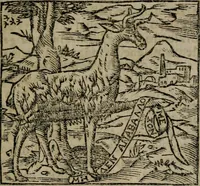 Picture 8 of 254 from Declaracion magistral sobre las Emblemas de Andres Alciato : con todas las historias, antiguedades, moralidad, y doctrina, tocante a las buenas costumbres : dedicadas a la muy noble insigne, leal, y coronada ciudad de Valencia (1670), leaf 28