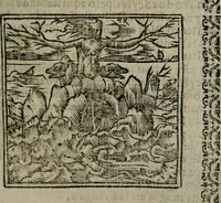 An illustration from Declaracion magistral sobre las Emblemas de Andres Alciato : con todas las historias, antiguedades, moralidad, y doctrina, tocante a las buenas costumbres : dedicadas a la muy noble insigne, leal, y coronada ciudad de Valencia (1670)
