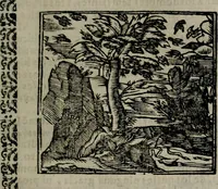 An illustration from Declaracion magistral sobre las Emblemas de Andres Alciato : con todas las historias, antiguedades, moralidad, y doctrina, tocante a las buenas costumbres : dedicadas a la muy noble insigne, leal, y coronada ciudad de Valencia (1670)