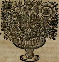 An illustration from Declaracion magistral sobre las Emblemas de Andres Alciato : con todas las historias, antiguedades, moralidad, y doctrina, tocante a las buenas costumbres : dedicadas a la muy noble insigne, leal, y coronada ciudad de Valencia (1670)