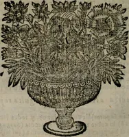 An illustration from Declaracion magistral sobre las Emblemas de Andres Alciato : con todas las historias, antiguedades, moralidad, y doctrina, tocante a las buenas costumbres : dedicadas a la muy noble insigne, leal, y coronada ciudad de Valencia (1670)
