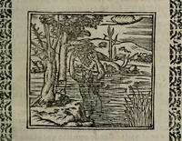 An illustration from Declaracion magistral sobre las Emblemas de Andres Alciato : con todas las historias, antiguedades, moralidad, y doctrina, tocante a las buenas costumbres : dedicadas a la muy noble insigne, leal, y coronada ciudad de Valencia (1670)