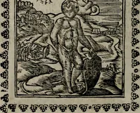 An illustration from Declaracion magistral sobre las Emblemas de Andres Alciato : con todas las historias, antiguedades, moralidad, y doctrina, tocante a las buenas costumbres : dedicadas a la muy noble insigne, leal, y coronada ciudad de Valencia (1670)