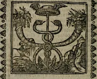 An illustration from Declaracion magistral sobre las Emblemas de Andres Alciato : con todas las historias, antiguedades, moralidad, y doctrina, tocante a las buenas costumbres : dedicadas a la muy noble insigne, leal, y coronada ciudad de Valencia (1670)