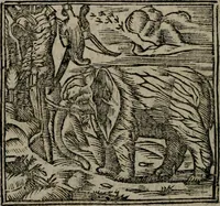An illustration from Declaracion magistral sobre las Emblemas de Andres Alciato : con todas las historias, antiguedades, moralidad, y doctrina, tocante a las buenas costumbres : dedicadas a la muy noble insigne, leal, y coronada ciudad de Valencia (1670)