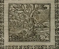 An illustration from Declaracion magistral sobre las Emblemas de Andres Alciato : con todas las historias, antiguedades, moralidad, y doctrina, tocante a las buenas costumbres : dedicadas a la muy noble insigne, leal, y coronada ciudad de Valencia (1670)