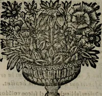 An illustration from Declaracion magistral sobre las Emblemas de Andres Alciato : con todas las historias, antiguedades, moralidad, y doctrina, tocante a las buenas costumbres : dedicadas a la muy noble insigne, leal, y coronada ciudad de Valencia (1670)