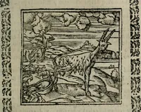An illustration from Declaracion magistral sobre las Emblemas de Andres Alciato : con todas las historias, antiguedades, moralidad, y doctrina, tocante a las buenas costumbres : dedicadas a la muy noble insigne, leal, y coronada ciudad de Valencia (1670)