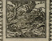An illustration from Declaracion magistral sobre las Emblemas de Andres Alciato : con todas las historias, antiguedades, moralidad, y doctrina, tocante a las buenas costumbres : dedicadas a la muy noble insigne, leal, y coronada ciudad de Valencia (1670)