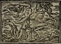 An illustration from Declaracion magistral sobre las Emblemas de Andres Alciato : con todas las historias, antiguedades, moralidad, y doctrina, tocante a las buenas costumbres : dedicadas a la muy noble insigne, leal, y coronada ciudad de Valencia (1670)