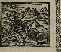 Picture 191 of 254 from Declaracion magistral sobre las Emblemas de Andres Alciato : con todas las historias, antiguedades, moralidad, y doctrina, tocante a las buenas costumbres : dedicadas a la muy noble insigne, leal, y coronada ciudad de Valencia (1670), leaf 560