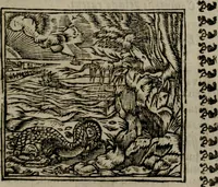 An illustration from Declaracion magistral sobre las Emblemas de Andres Alciato : con todas las historias, antiguedades, moralidad, y doctrina, tocante a las buenas costumbres : dedicadas a la muy noble insigne, leal, y coronada ciudad de Valencia (1670)