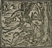 An illustration from Declaracion magistral sobre las Emblemas de Andres Alciato : con todas las historias, antiguedades, moralidad, y doctrina, tocante a las buenas costumbres : dedicadas a la muy noble insigne, leal, y coronada ciudad de Valencia (1670)