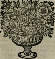 An illustration from Declaracion magistral sobre las Emblemas de Andres Alciato : con todas las historias, antiguedades, moralidad, y doctrina, tocante a las buenas costumbres : dedicadas a la muy noble insigne, leal, y coronada ciudad de Valencia (1670)