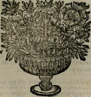 An illustration from Declaracion magistral sobre las Emblemas de Andres Alciato : con todas las historias, antiguedades, moralidad, y doctrina, tocante a las buenas costumbres : dedicadas a la muy noble insigne, leal, y coronada ciudad de Valencia (1670)