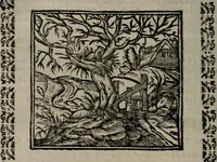 An illustration from Declaracion magistral sobre las Emblemas de Andres Alciato : con todas las historias, antiguedades, moralidad, y doctrina, tocante a las buenas costumbres : dedicadas a la muy noble insigne, leal, y coronada ciudad de Valencia (1670)