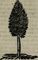 An illustration from Declaracion magistral sobre las Emblemas de Andres Alciato : con todas las historias, antiguedades, moralidad, y doctrina, tocante a las buenas costumbres : dedicadas a la muy noble insigne, leal, y coronada ciudad de Valencia (1670)