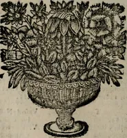 An illustration from Declaracion magistral sobre las Emblemas de Andres Alciato : con todas las historias, antiguedades, moralidad, y doctrina, tocante a las buenas costumbres : dedicadas a la muy noble insigne, leal, y coronada ciudad de Valencia (1670)