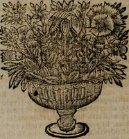 Picture 20 of 254 from Declaracion magistral sobre las Emblemas de Andres Alciato : con todas las historias, antiguedades, moralidad, y doctrina, tocante a las buenas costumbres : dedicadas a la muy noble insigne, leal, y coronada ciudad de Valencia (1670), leaf 79