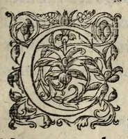 An illustration from Declaratiõ & interpretation dv Roy svr l'Edict de la pacification des troubles pour le faict de la religion : publié en la Cour de Parlement à Paris, le XX Decembre, 1563. (1563)