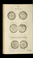 An illustration from [Declaration du roy, portant que les monnoyes d'argent legeres ne seront exposées que pour leur iuste prix selon leur poids & titre, & que tous les poids dont on se seruira pour les monnoyes, seront aiustez & estallonnez sur ceux de la Cour des monnoyes dans vn mois : registrée en la Cour des monnoyes le 24. octobre 1640 : ensemble l'arrest de ladite cour, pour le fait de l'estalonnement desdits poids]. (1640)