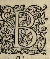 An illustration from Declaration Dv Roy Svr Le Svbiect Des Novveavx remuements de son Royaume. (1617)