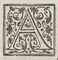 An illustration from A declaration of the demeanor and cariage of Sir Walter Raleigh, knight, as well his voyage, as in, and sithence his returne; : and of the true motiues and inducements which occasioned His Maiestie to proceed in doing justice vpon him, as hath bene done (1618)