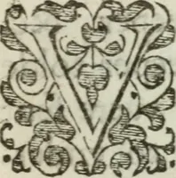 An illustration from A declaration of the practises & treasons attempted and committed by Robert late Earle of Essex and his complices, against Her Maiestie and her kingdoms, and of the proceedings as well at the arraignments & conuictions of the said late Earle, and his adherents, as after. Together with the very confessions and other parts of the euidences themselues, word for word taken out of the originals (1601)