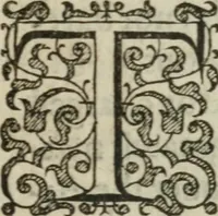 An illustration from A declaration of the practises & treasons attempted and committed by Robert late Earle of Essex and his complices, against Her Maiestie and her kingdoms, and of the proceedings as well at the arraignments & conuictions of the said late Earle, and his adherents, as after. Together with the very confessions and other parts of the euidences themselues, word for word taken out of the originals (1601)