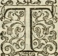 An illustration from A declaration of the practises & treasons attempted and committed by Robert late Earle of Essex and his complices, against Her Maiestie and her kingdoms, and of the proceedings as well at the arraignments & conuictions of the said late Earle, and his adherents, as after. Together with the very confessions and other parts of the euidences themselues, word for word taken out of the originals (1601)