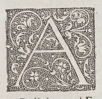 Picture 4 of 10 from A declaration of the state of the colony and affaires in Virginia: : with the names of the aduenturors, and summes aduentured in that action. (1620), leaf 11