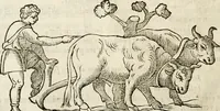 An illustration from De colvmna Traiani syntagma. Accesserunt explicatio veteris tabellae anaglyphae Homeri Iliadem, atqve ex Stesichoro, Arctino et Lesche Ilii excidivm continentis, & Emissarii Lacus Fvcini descriptio (1683)