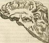 Picture 135 of 246 from De colvmna Traiani syntagma. Accesserunt explicatio veteris tabellae anaglyphae Homeri Iliadem, atqve ex Stesichoro, Arctino et Lesche Ilii excidivm continentis, & Emissarii Lacus Fvcini descriptio (1683), leaf 311