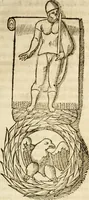 Picture 23 of 246 from De colvmna Traiani syntagma. Accesserunt explicatio veteris tabellae anaglyphae Homeri Iliadem, atqve ex Stesichoro, Arctino et Lesche Ilii excidivm continentis, & Emissarii Lacus Fvcini descriptio (1683), leaf 80
