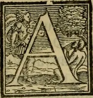 Picture 9 of 12 from De constitvtionibvs apostolicis, B. Clemente Romano auctore, libri octo : nunc primùm è tenebris eruti, & ad orthodoxam fidem astruendam apprimè utiles (1563), leaf 184