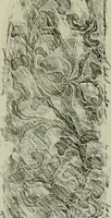 An illustration from Studies in the decorative art of Japan (1910)