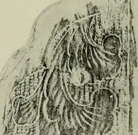 An illustration from Studies in the decorative art of Japan (1910)